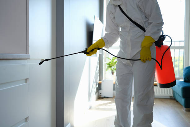 Best Residential Mold Removal  in Denver, NC