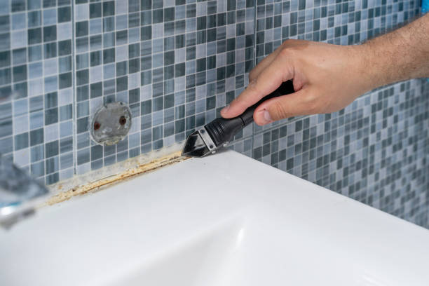 Best Home Mold Removal  in Denver, NC